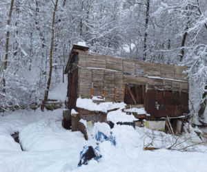 Dach stodoły runął pod naporem śniegu. W środku były zwierzęta