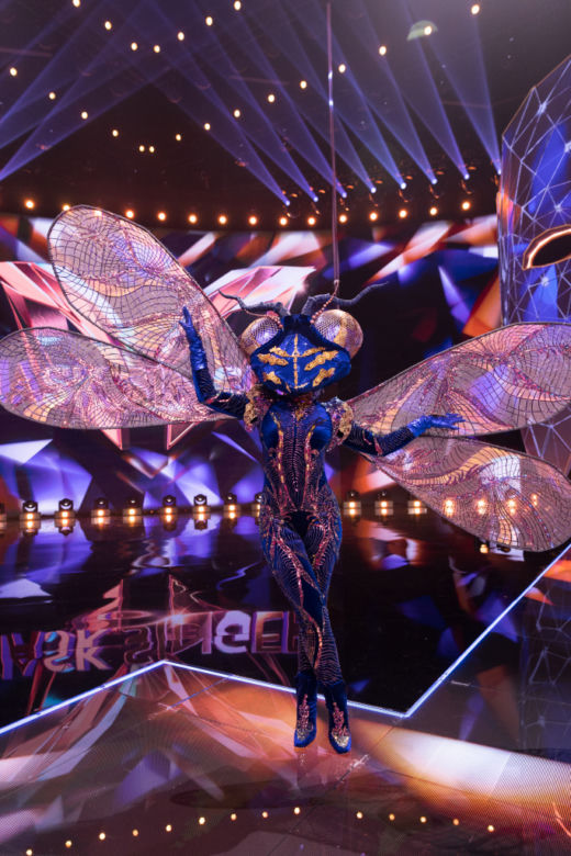 Mask Singer. Zjawiskowe kostiumy uczestników 2. odcinka - Ważka