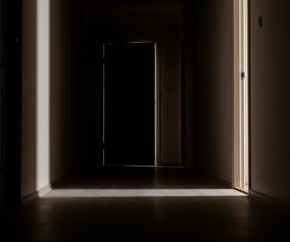 Ciemny korytarz ukazuje trzy drzwi; dwie pary są uchylone, a jedna pozostaje zamknięta w głębi. Z lewej strony na ścianie i podłodze widoczny jest pionowy pas jasnego światła. Kolejny, poziomy pas światła rozciąga się przez podłogę od otwartych drzwi po prawej stronie, a także delikatnie oświetla krawędź zamkniętych drzwi. Całość otacza ciemność, podkreślona jasnymi akcentami.