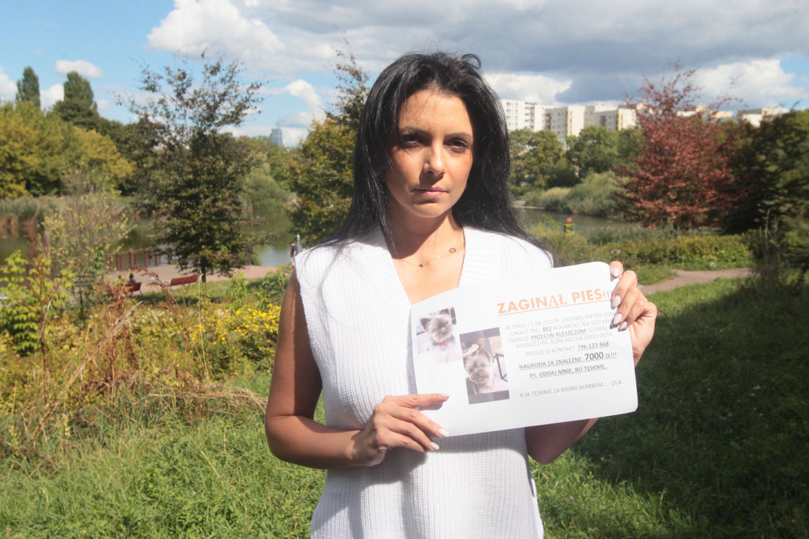 Warszawa, Ochota. Tęsknie za moim skarbem. „Oddam ci psa za 3500 złotych”