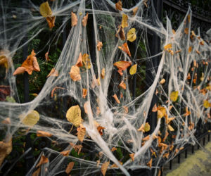 Gdańsk: Dom jak z horroru. Udekorowali budynek na helloween [ZDJĘCIA]