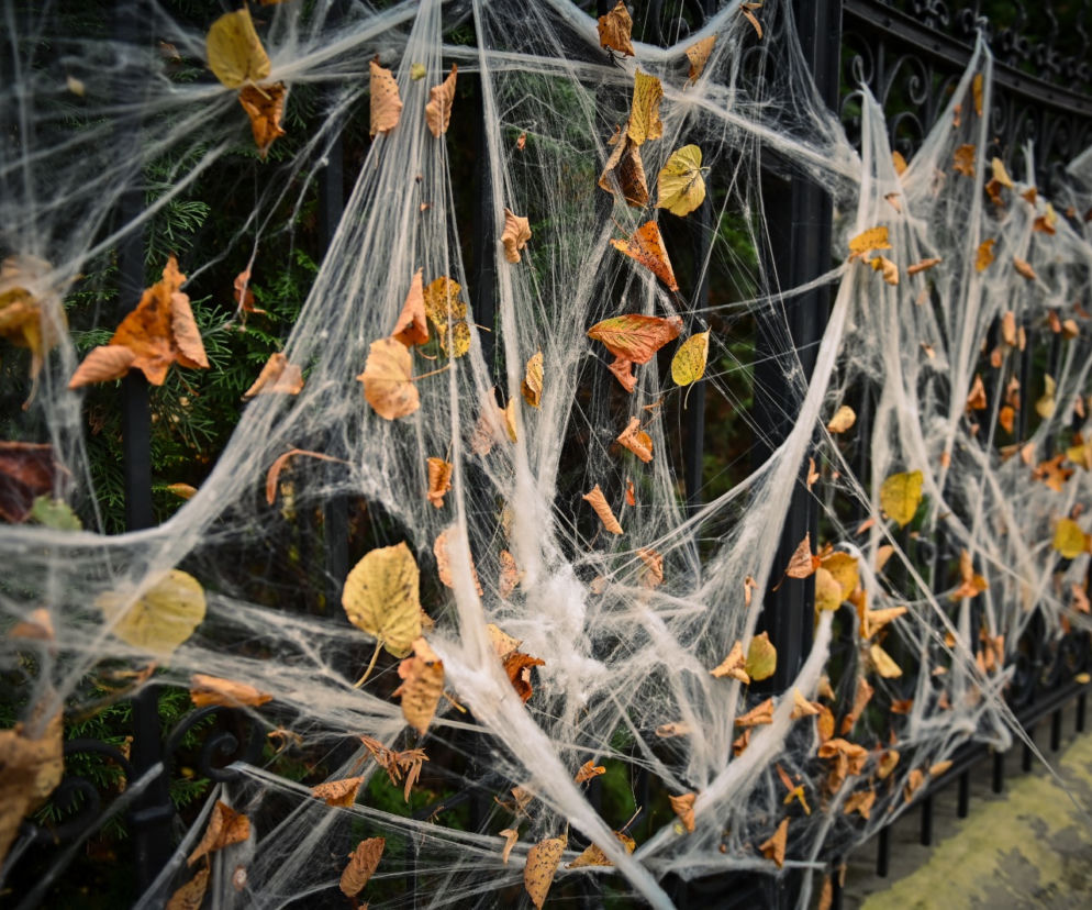 Gdańsk: Dom jak z horroru. Udekorowali budynek na helloween [ZDJĘCIA]