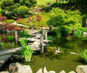 Ogród japoński