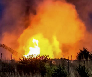 Piorun trafił prosto w dinozaura! Zobacz, co z niego zostało