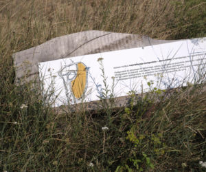 Grodzisko / Stradów - 30
