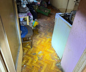 Psy żyły w koszmarnych warunkach