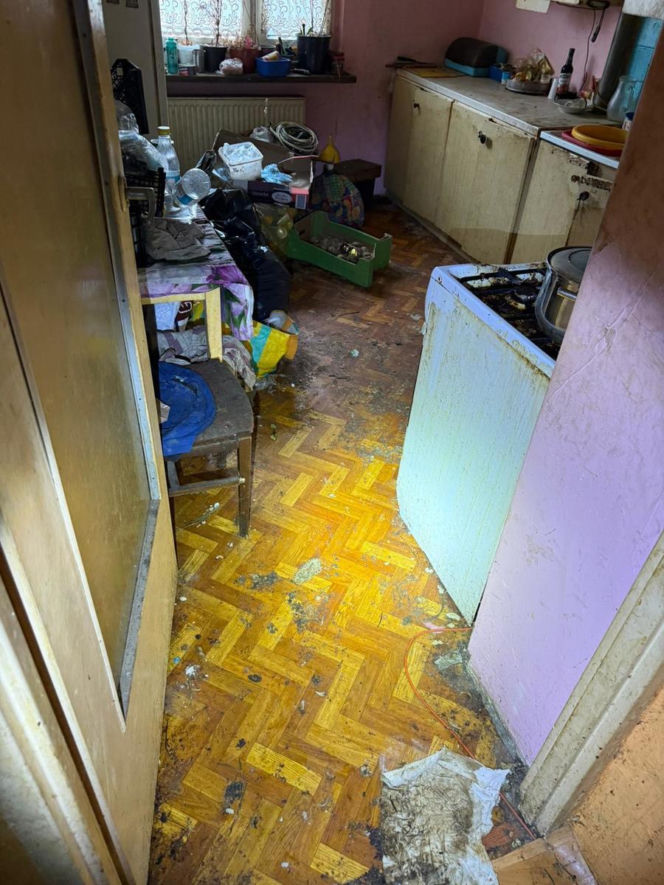 Psy żyły w koszmarnych warunkach