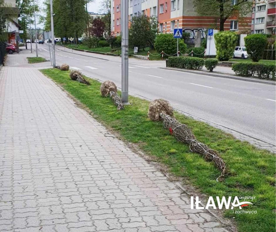 Dzień Ziemi w Iławie: Zielono w przedszkolu, zielono przy iławskich chodnikach i ulicach