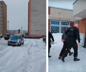 Mężczyzna odpowie za znęcanie się nad zwierzęciem. Wystraszonym czworonogiem zajęli się pracownicy schroniska „Ciapkowo”