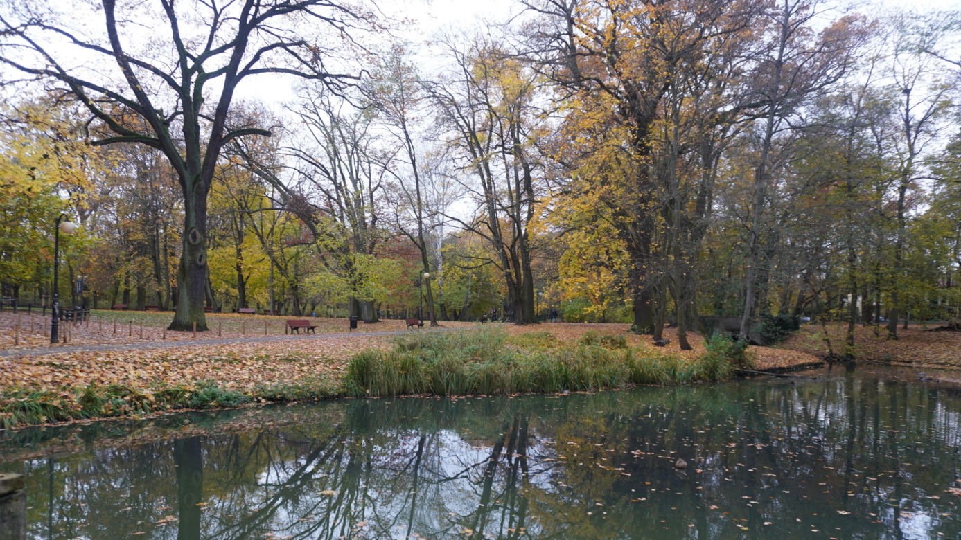 Park Sołacki w Poznaniu jesienią