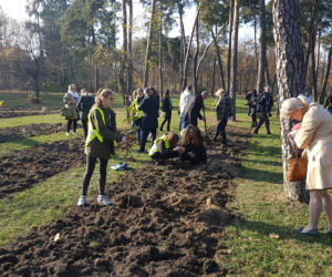 Sto drzew na 100. rocznicę odzyskania niepodległości w Toruniu