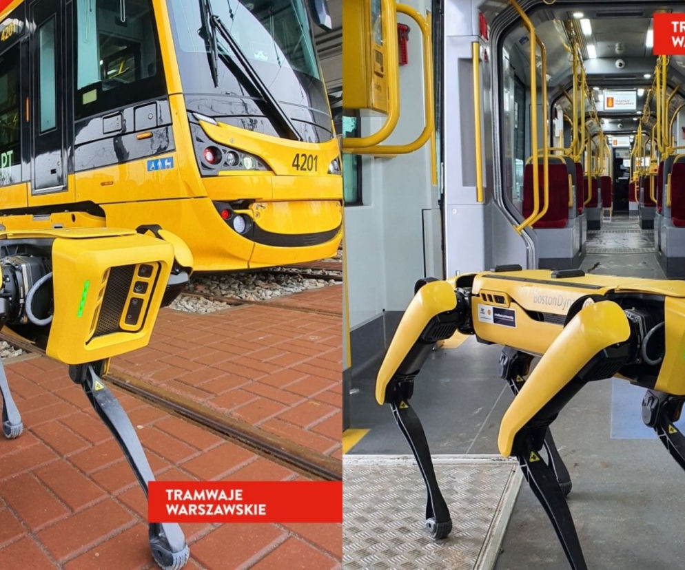 Spot i warszawskie tramwaje