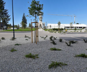 Teren wokół rekordowego pomnika Matki Boskiej w Konotopiu zamknięty z powodów bezpieczeństwa. Chętnych na zwiedzanie jednak nie brakuje