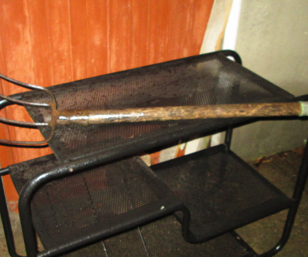 Brutalny mord pod Garwolinem