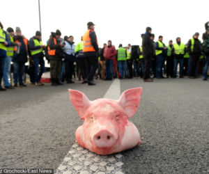 Protest rolników na A4 pod Brwinowem