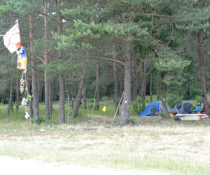 WOODSTOCK 2