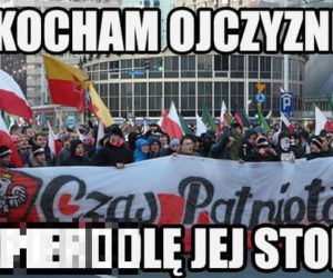 Marsz Niepodległości memy