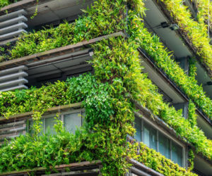 Jak biophilic design kształtuje projektowanie obiektów komercyjnych?