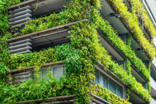 Jak biophilic design kształtuje projektowanie obiektów komercyjnych?