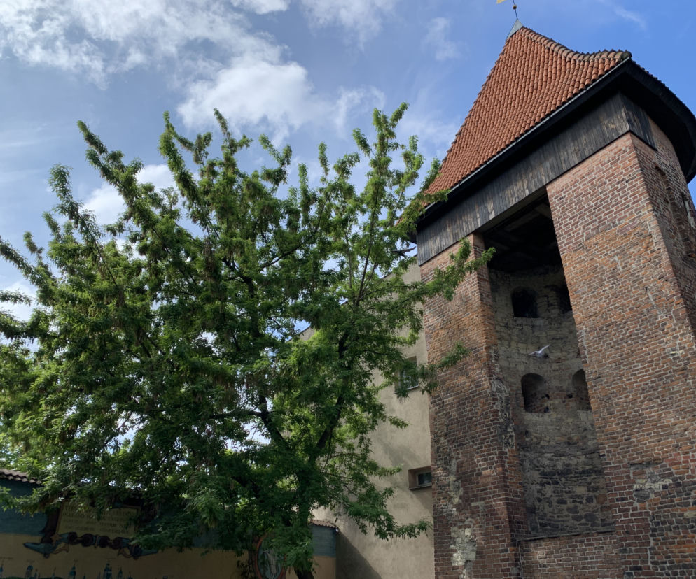 Zabytkowa Baszta gotycka w Lublinie