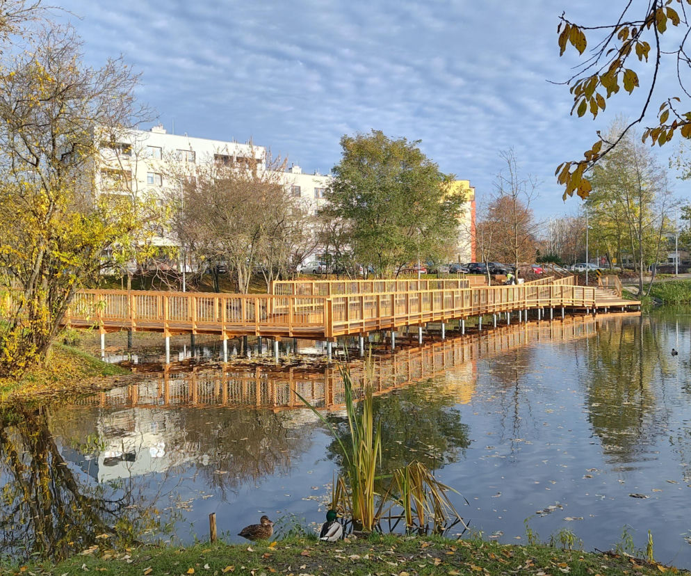 Białystok inwestuje blisko 3,4 mln zł w błękitno-zieloną infrastrukturę