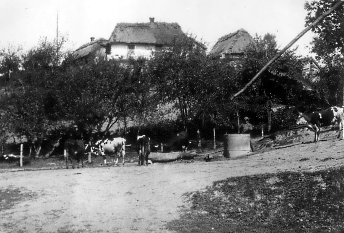 Krasnystaw