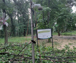 Ogromne straty po burzy nad regionem