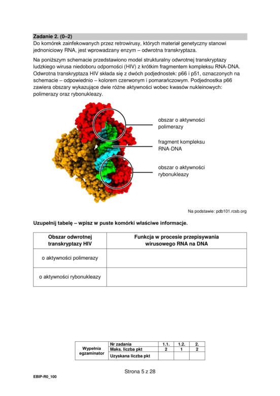 Matura 2024: biologia rozszerzona ARKUSZ FORMUŁA 2015