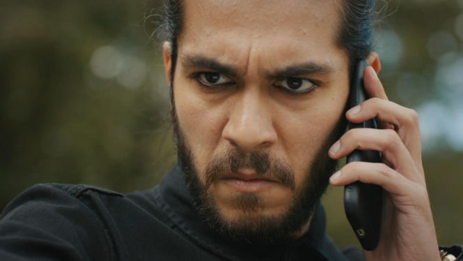 Dziedzictwo, odc. 870. Szakal