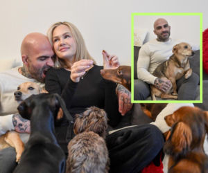 Tak Akop Szostak mieszka z piękną narzeczoną i uroczymi siedmioma psiakami! Para szykuje się do ślubu