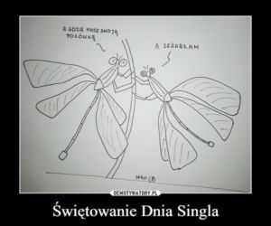 dzień singla