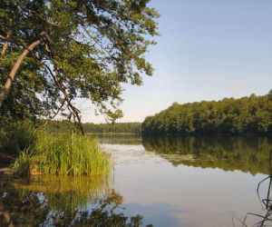 Jezioro Lubie