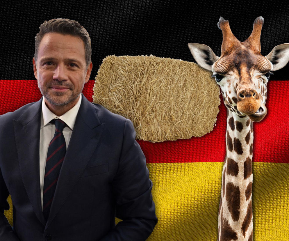 Spór o niemieckie siano w ZOO. Trzaskowski dosadnie komentuje zarzuty