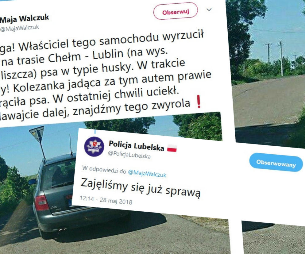 Lubelskie: Kierowca wyrzucił psa w trakcie jazdy! W sieci zawrzało