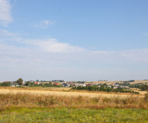 Pokrzywnica