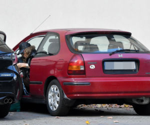 Agnieszka Fitkau-Perepeczko  na bazarku