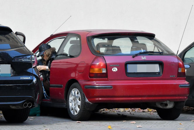 Agnieszka Fitkau-Perepeczko  na bazarku