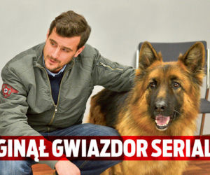 PILNE! Gwiazdor serialu Komisarz Alex przepadł bez śladu!