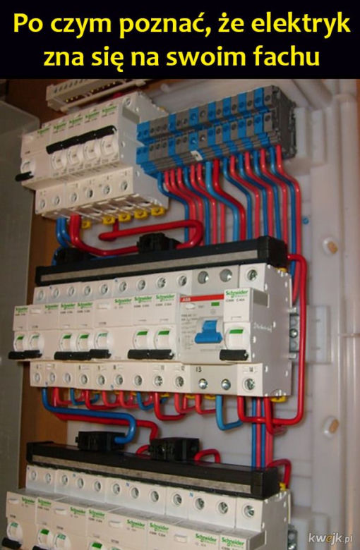 Międzynarodowy Dzień Elektryka. Najlepsze memy o elektrykach i ich pracy, które rozbawią do łez