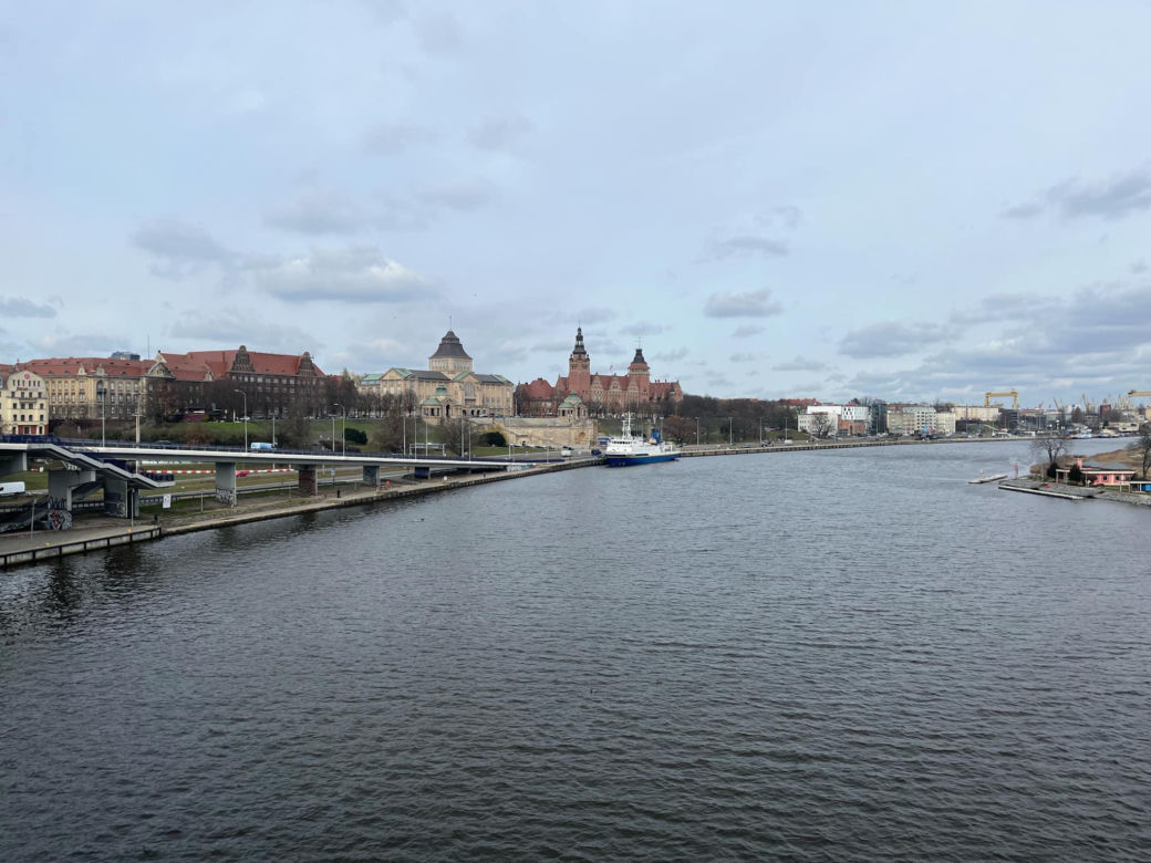 Krokusy na Wałach Chrobrego