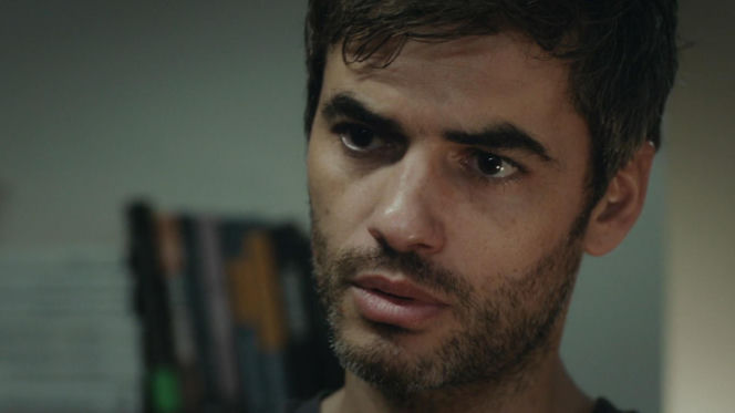 Dziedzictwo, odc. 906. Poyraz