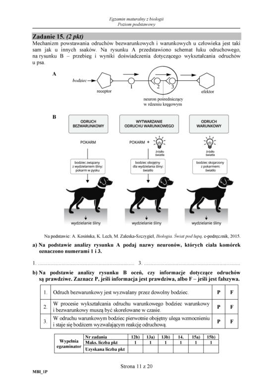 Matura 2018 z biologii. Poziom podstawowy - arkusze CKE