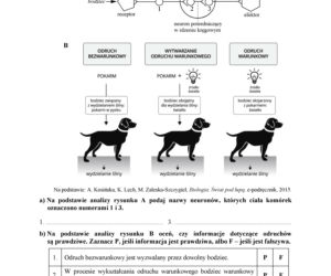 Matura 2018 z biologii. Poziom podstawowy - arkusze CKE