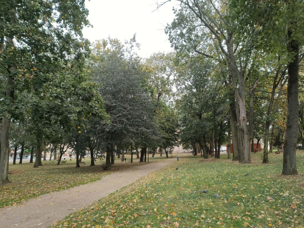 Blisko 12 milionów złotych na tereny zielone w Łomży. Zmiany zajdą na terenie Parków Ludowego, Jakuba Wagi i przy ulicy Katyńskiej