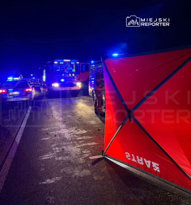 Koszmar na DK 50. 11-latka nie żyje. W auto wbiło się drzewo z ciągnika