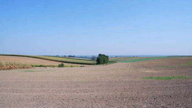 Okolice Kotliny Raciborskiej