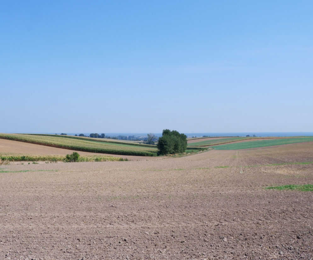 Okolice Kotliny Raciborskiej