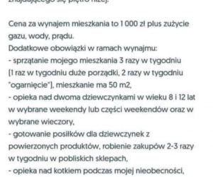 Mieszkanie do wynajęcia na szczecińskim Pogodnie. To ogłoszenie jest HITEM Internetu!