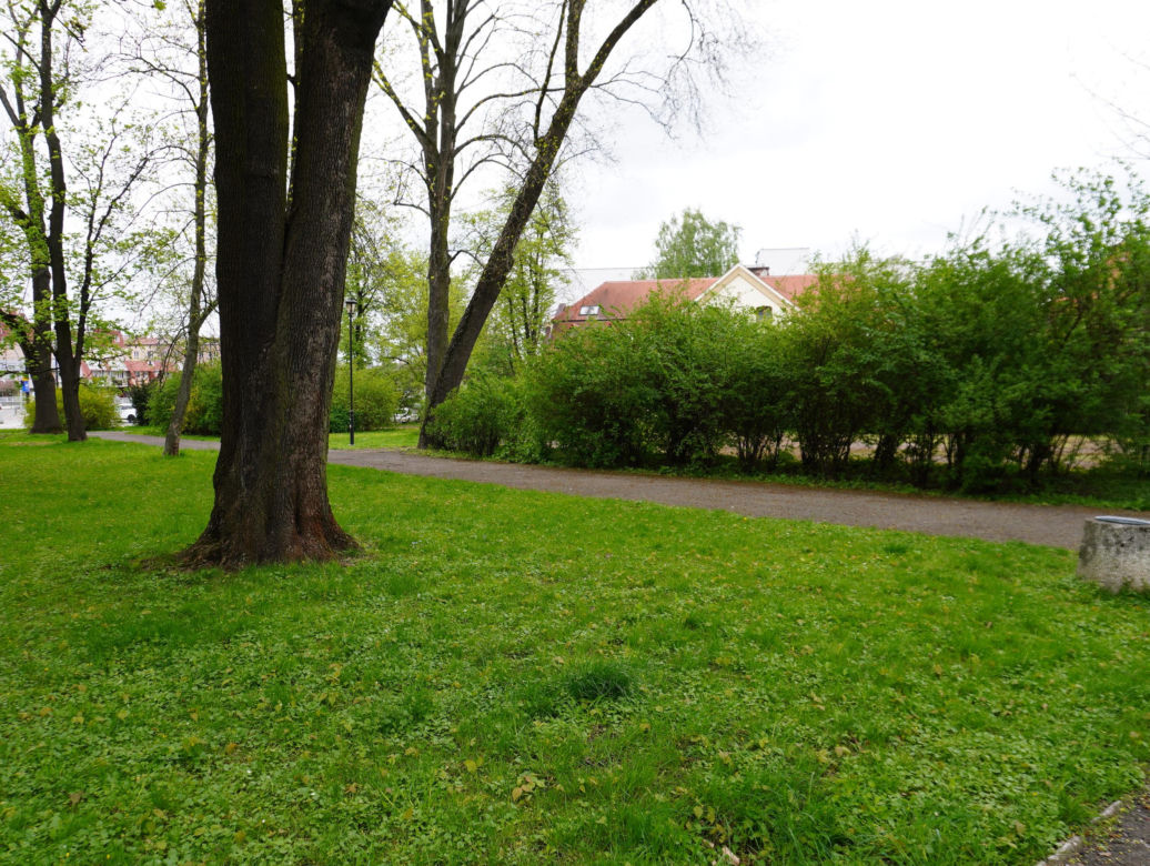 Park Bronowice wiosną 2024