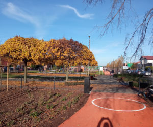 Park Gronowo otwarty 